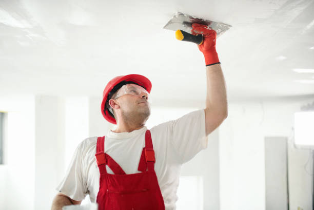 Best Fire-Damaged Drywall Repair  in Kenner, LA